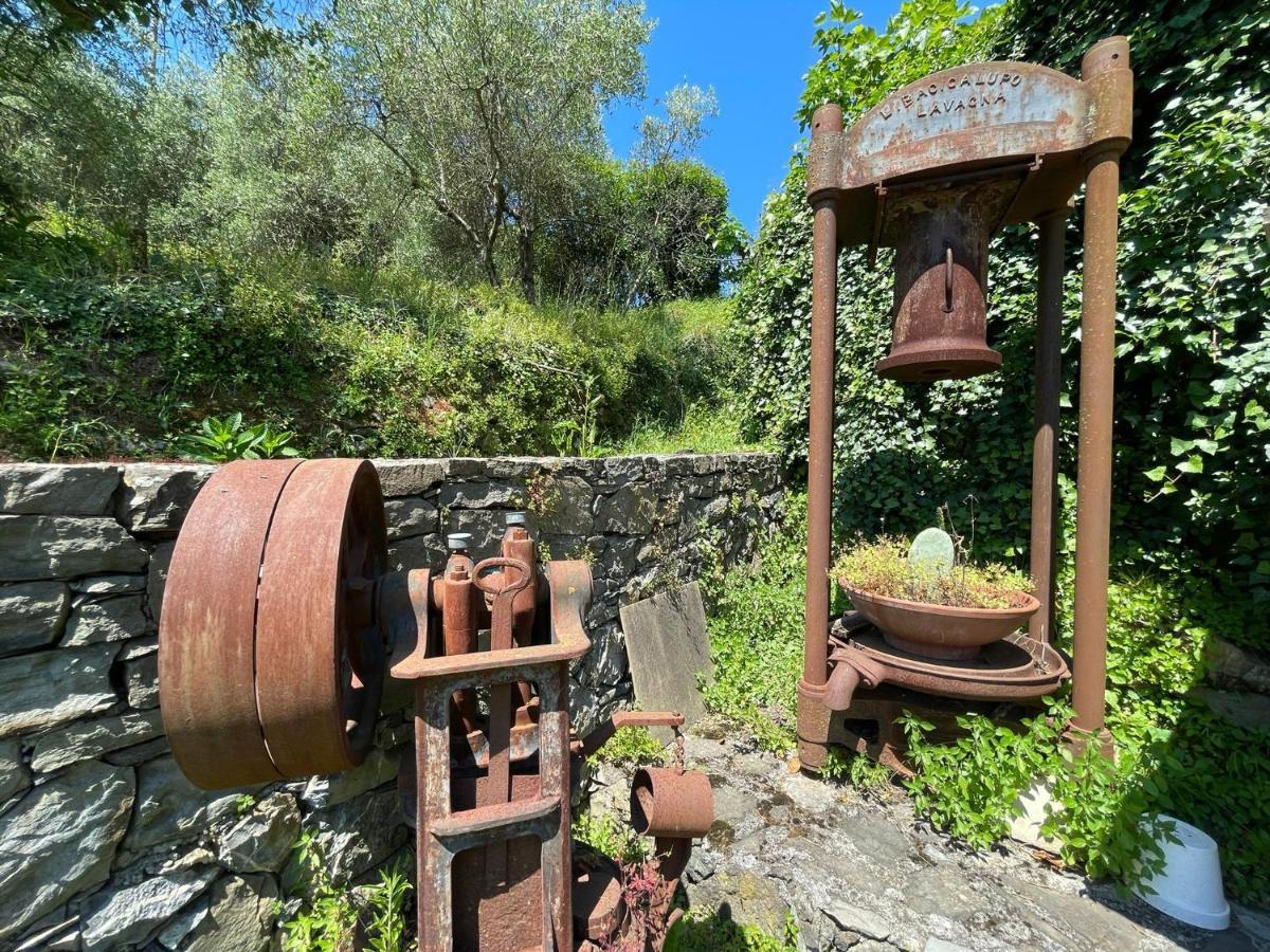 Il Frantoio Di Luna - Levanto, 5 Terre Екстериор снимка